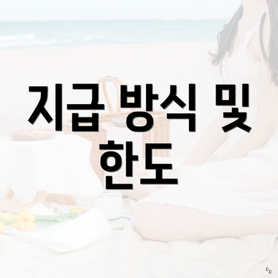 지급 방식 및 한도