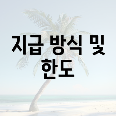 지급 방식 및 한도