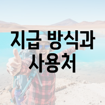 지급 방식과 사용처