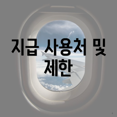 지급 사용처 및 제한