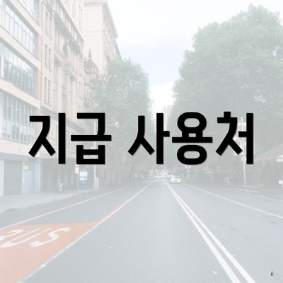 지급 사용처