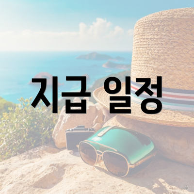 지급 일정