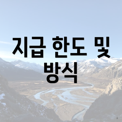 지급 한도 및 방식