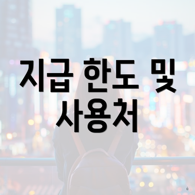 지급 한도 및 사용처