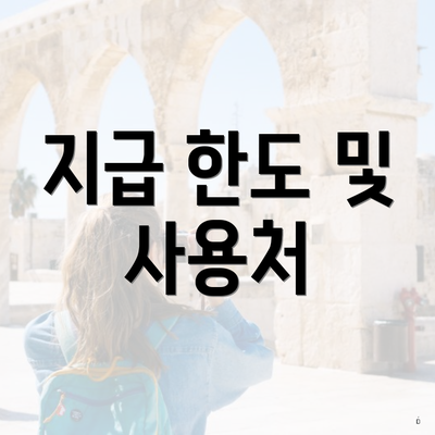 지급 한도 및 사용처