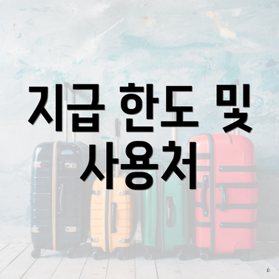 지급 한도 및 사용처