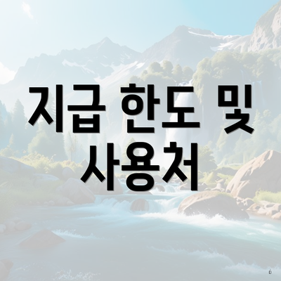 지급 한도 및 사용처