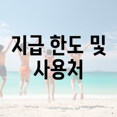 지급 한도 및 사용처