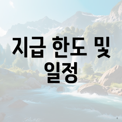 지급 한도 및 일정