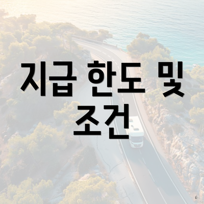 지급 한도 및 조건