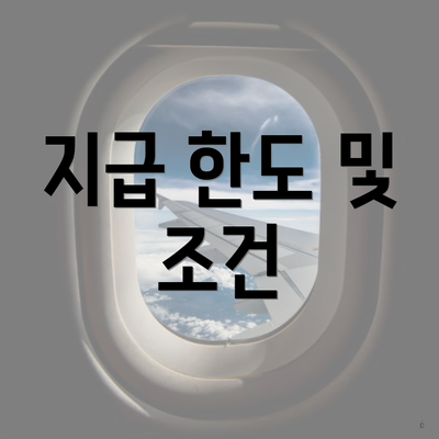 지급 한도 및 조건