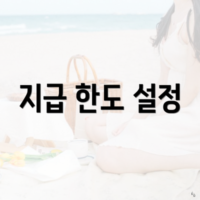 지급 한도 설정