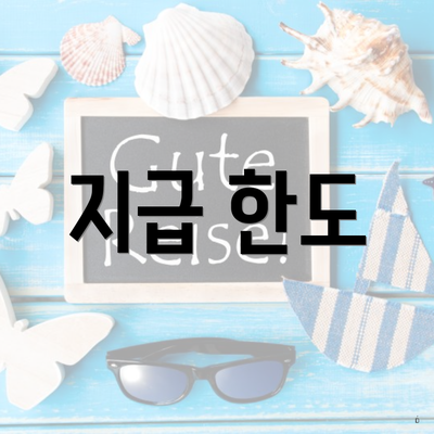 지급 한도