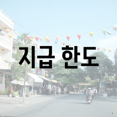 지급 한도