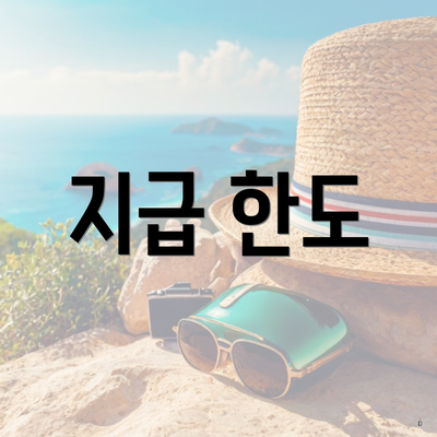 지급 한도