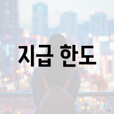 지급 한도