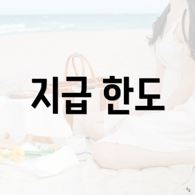 지급 한도