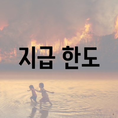 지급 한도