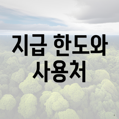 지급 한도와 사용처