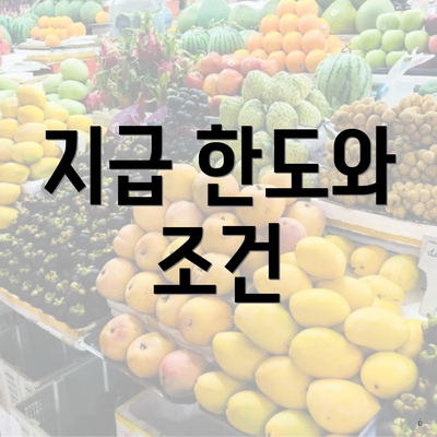 지급 한도와 조건