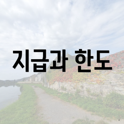 지급과 한도