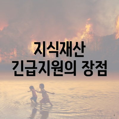 지식재산 긴급지원의 장점