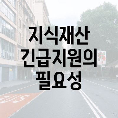 지식재산 긴급지원의 필요성