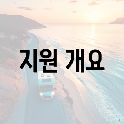 지원 개요