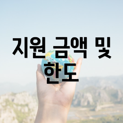 지원 금액 및 한도