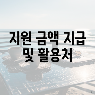 지원 금액 지급 및 활용처