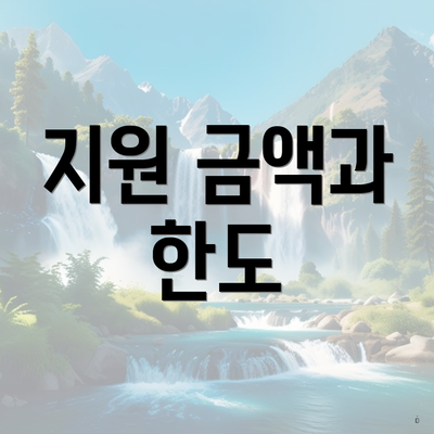 지원 금액과 한도