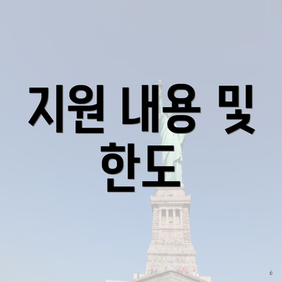 지원 내용 및 한도