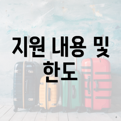 지원 내용 및 한도