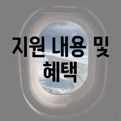 지원 내용 및 혜택