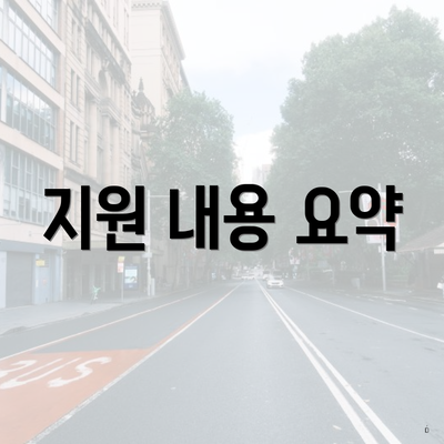 지원 내용 요약