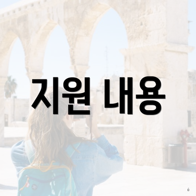 지원 내용