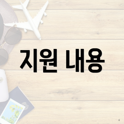 지원 내용