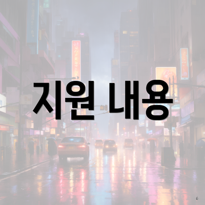 지원 내용