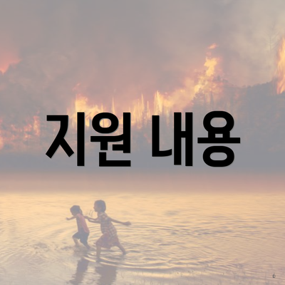 지원 내용