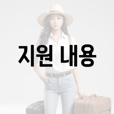 지원 내용