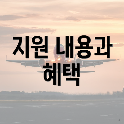 지원 내용과 혜택