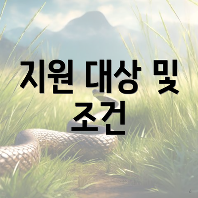 지원 대상 및 조건