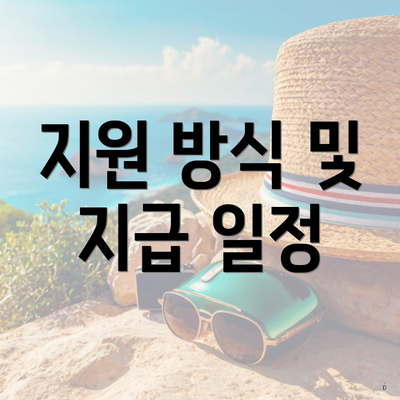 지원 방식 및 지급 일정