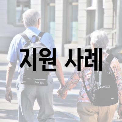 지원 사례