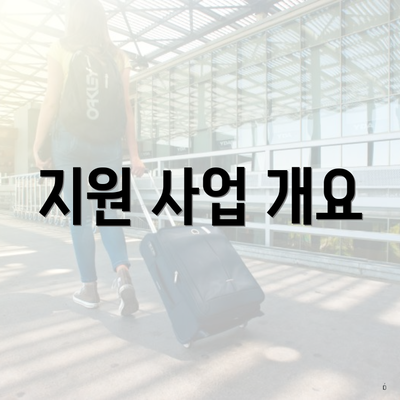 지원 사업 개요