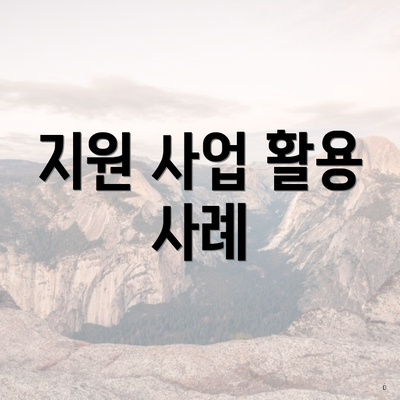 지원 사업 활용 사례