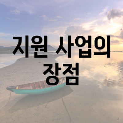 지원 사업의 장점
