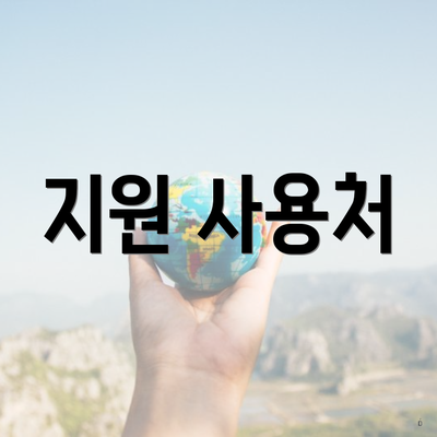 지원 사용처