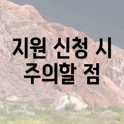지원 신청 시 주의할 점