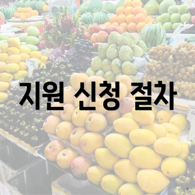 지원 신청 절차